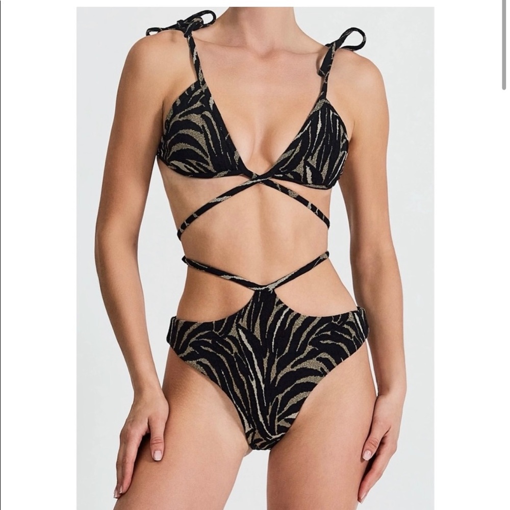 Devon Windsor Suki Bikini top and bottom